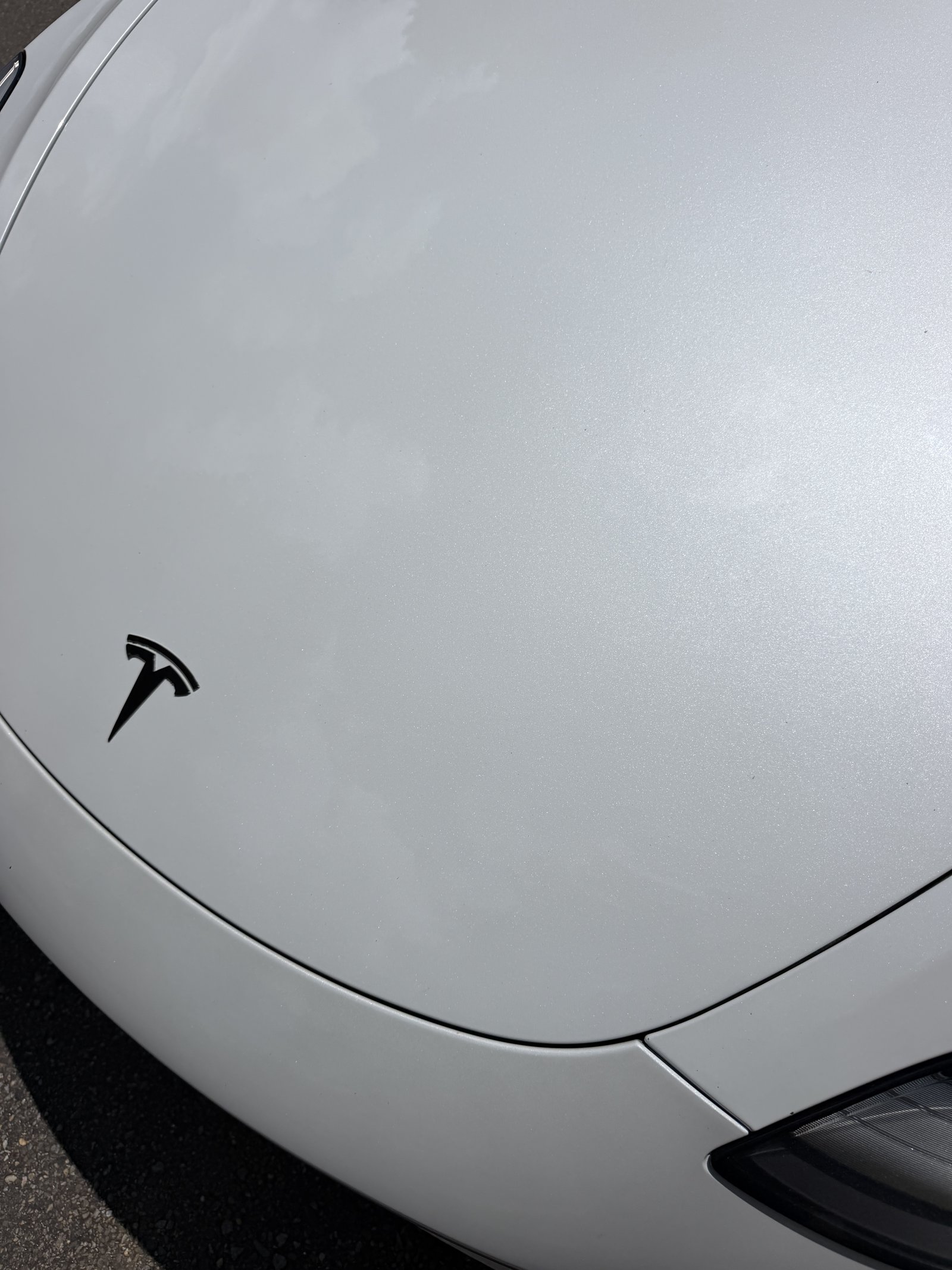 Tesla hood after detail, clean glossy finish