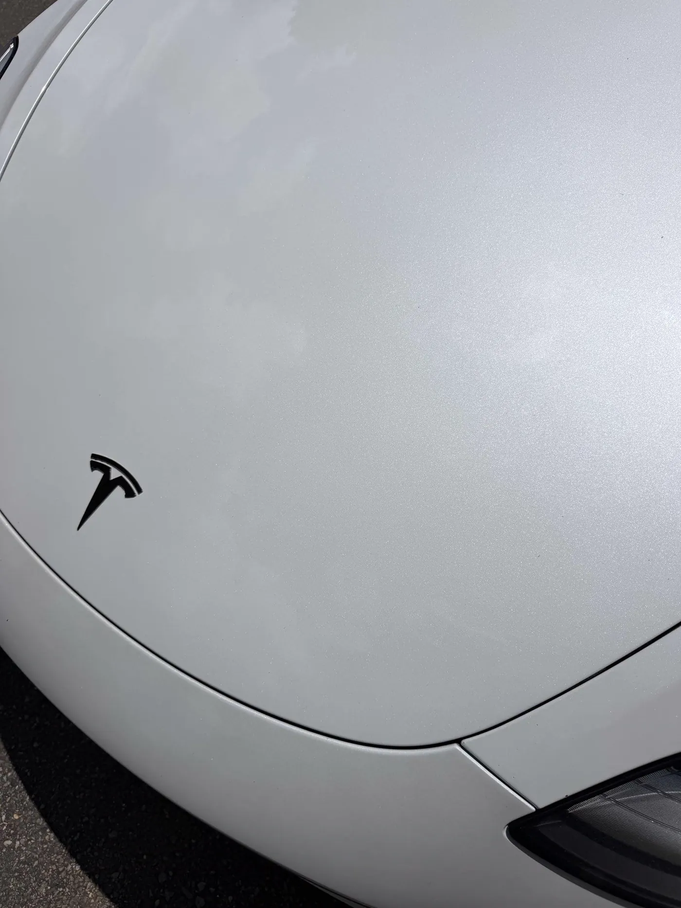 Tesla hood after detail, clean glossy finish