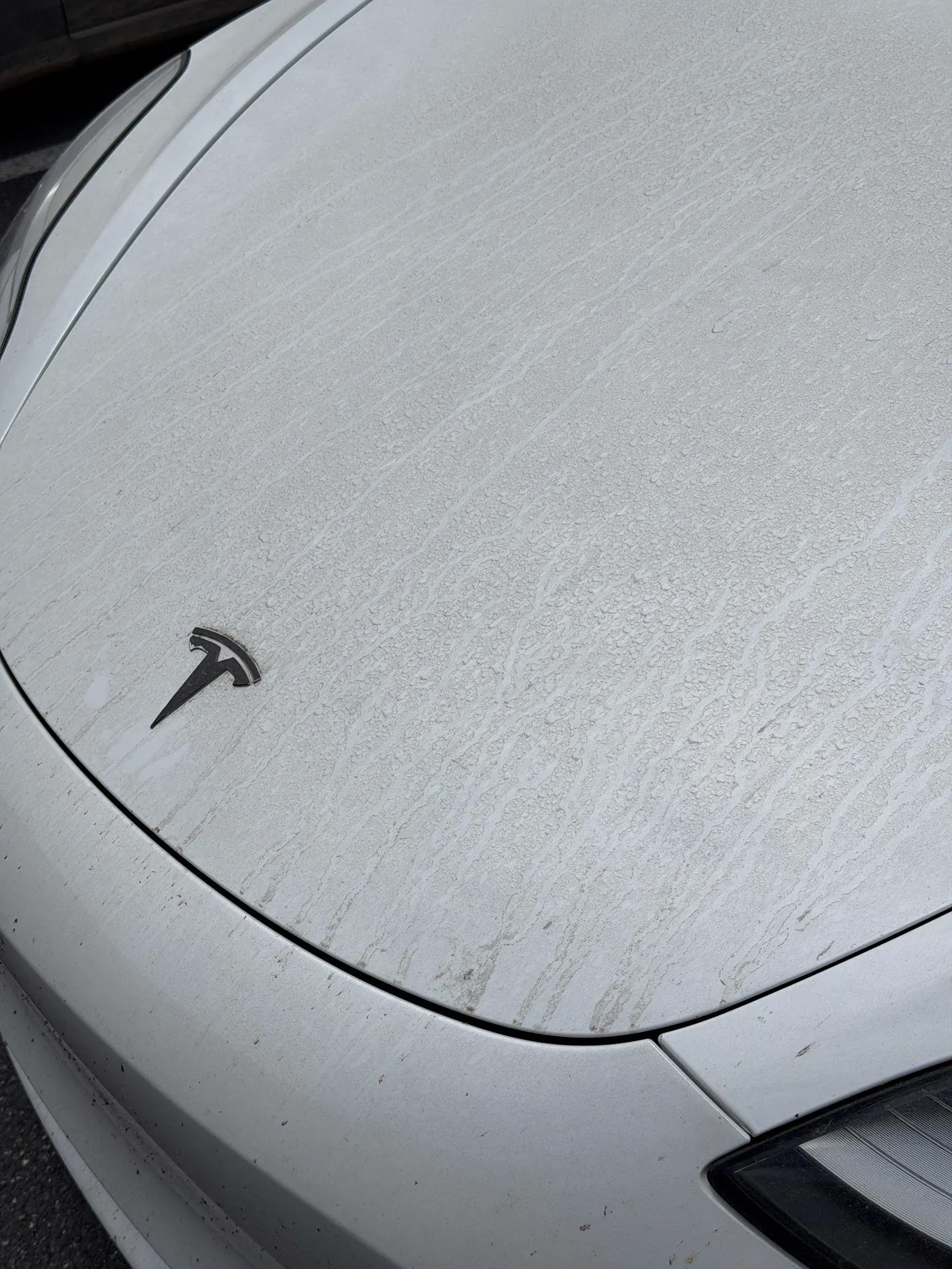 Tesla hood before detail, dusty finish